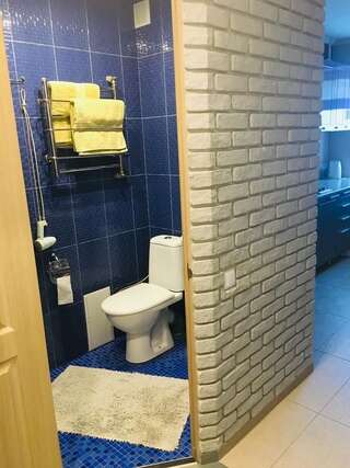 Апартаменты Квартира возле Сити центра Николаев Апартаменты с 1 спальней-15