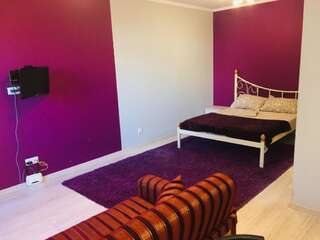 Апартаменты Квартира возле Сити центра Николаев Апартаменты с 1 спальней-21